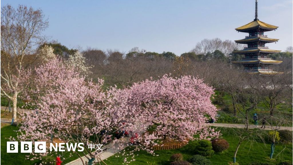 Re: [問卦] 幹...日本鬼子為何要南京大屠殺？？