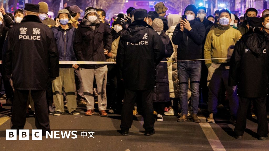中国大范围反清零示威 各国领导人和国际组织呼吁尊重抗议民众
