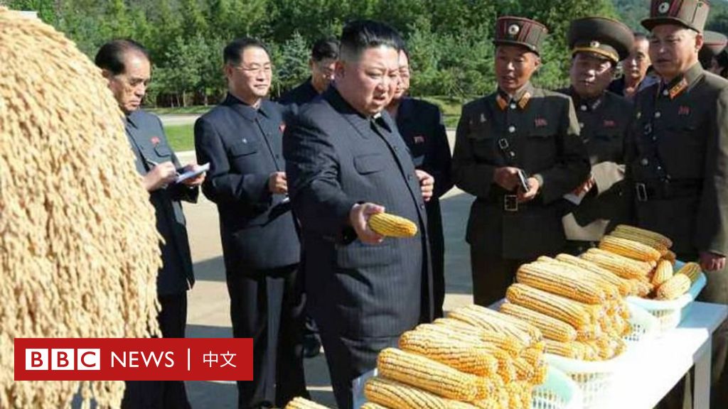 金正恩承认严重缺粮：解读朝鲜粮荒四个基本问题