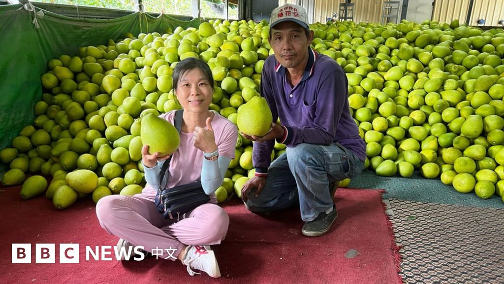 两岸关系紧张之下，台湾果农面临的困境