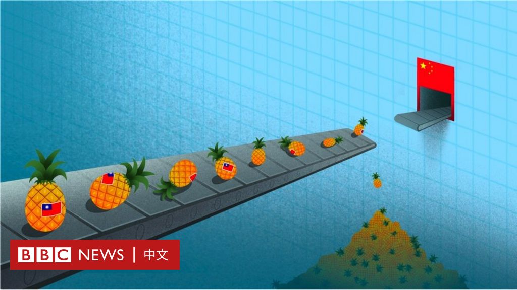 台湾凤梨保卫战：中国禁令下的危机与出口日本带来的转机