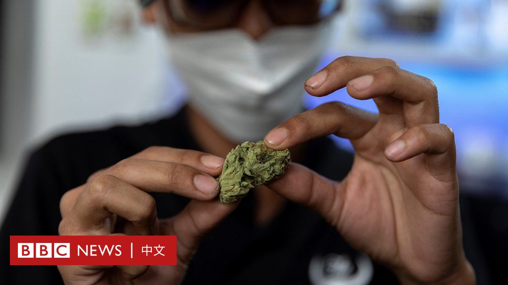 泰国大麻正式合法化，娱乐性使用仍被禁止