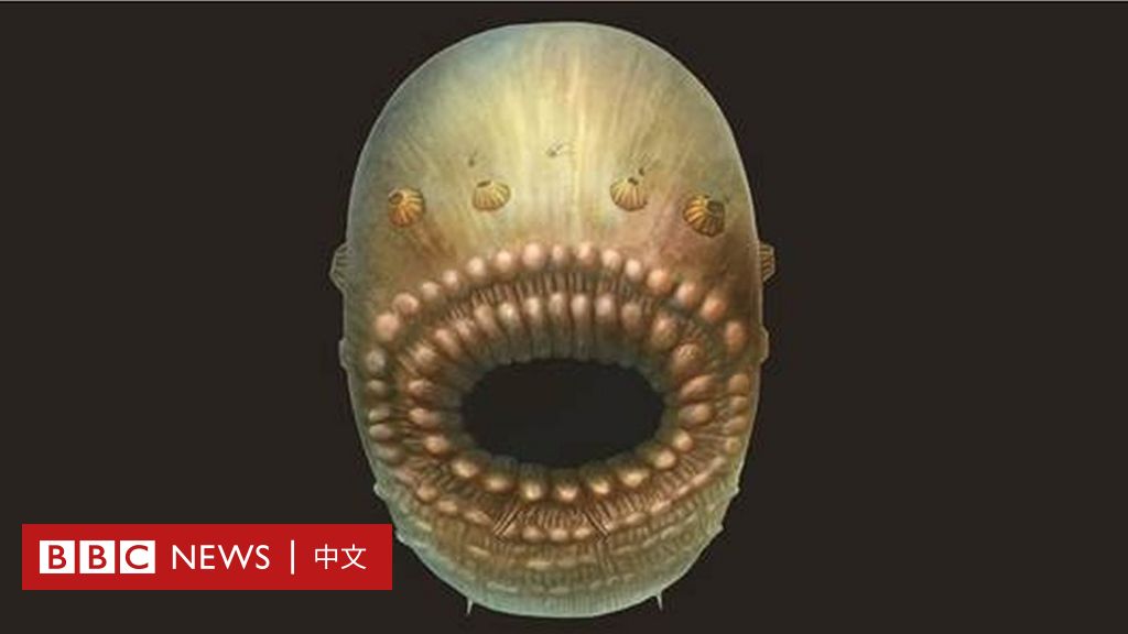 科学家在中国陕西发现最早人类祖先化石 c News 中文