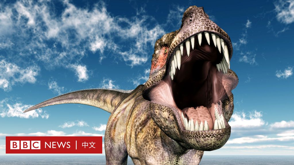 恐龙交流的方式：泄殖腔闪耀-BBC新闻