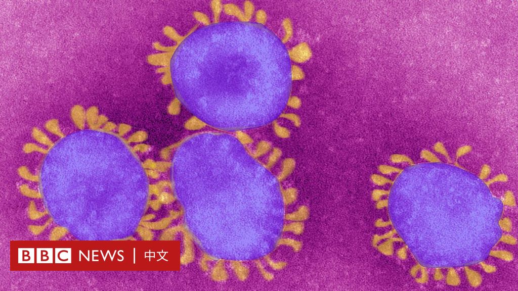肺炎疫情：新冠病毒到底哪来的？科学界的几种说法 - BBC News 中文