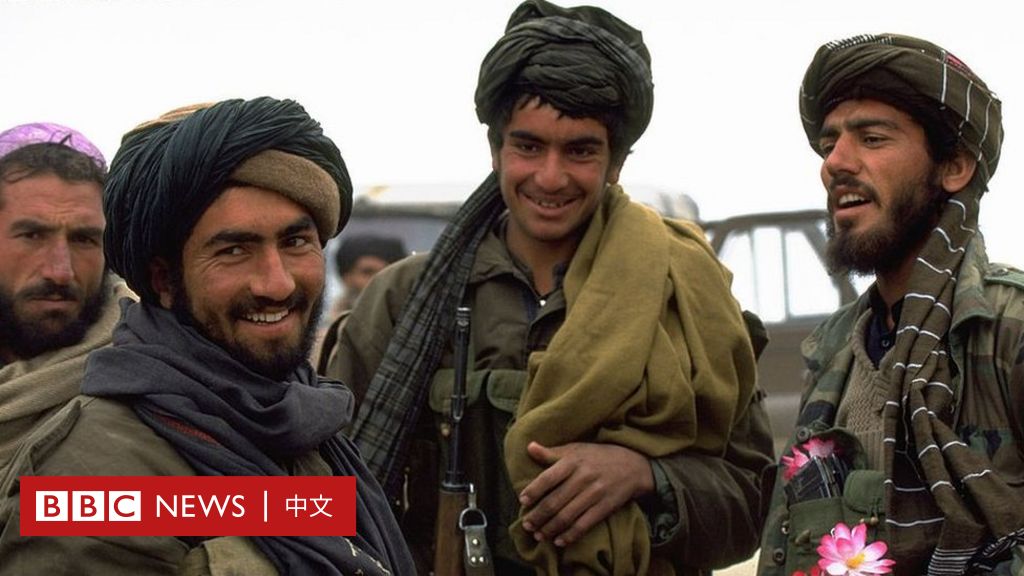 塔利班、伊斯兰国和基地组织有什么分别