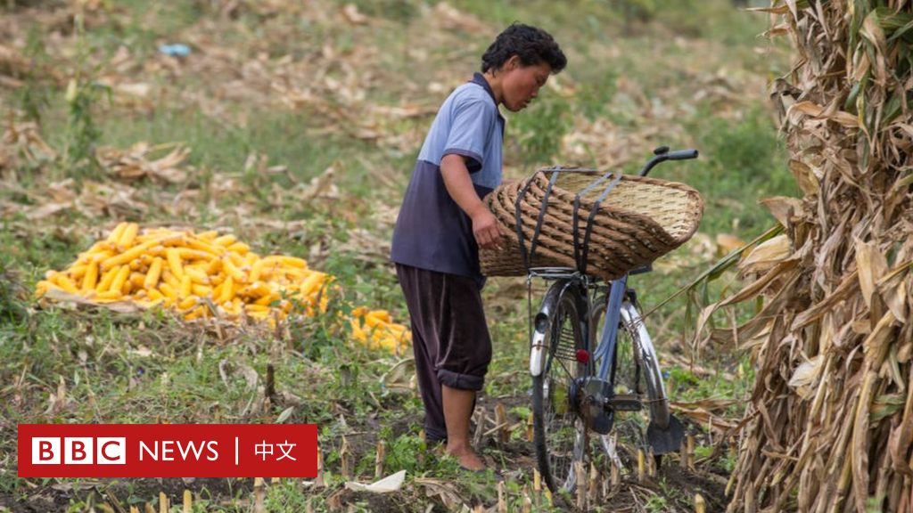 朝鲜出现饥荒报告 气候变化恐进一步威胁其脆弱经济