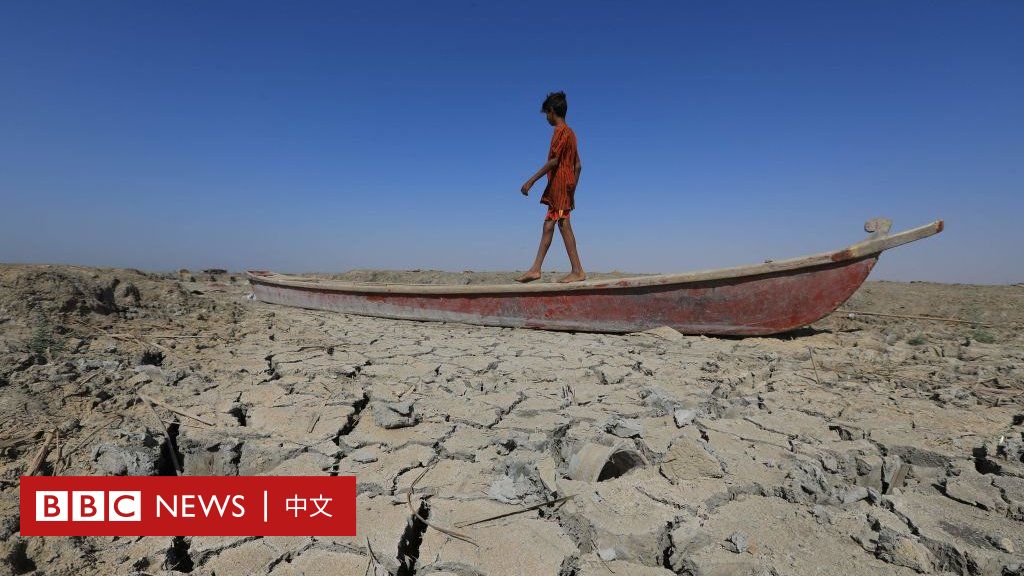 干旱与气候变化：当2022年成为了旱灾与高温之年 - BBC News 中文