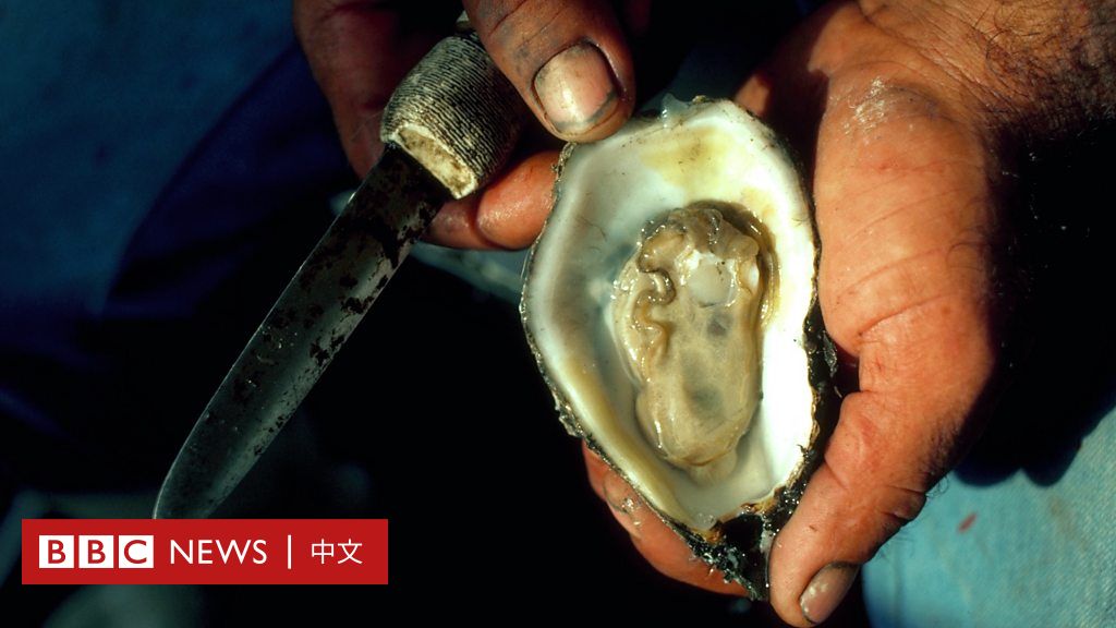 美国“变废为宝”保护环境：如何用牡蛎空壳抵抗海岸侵蚀