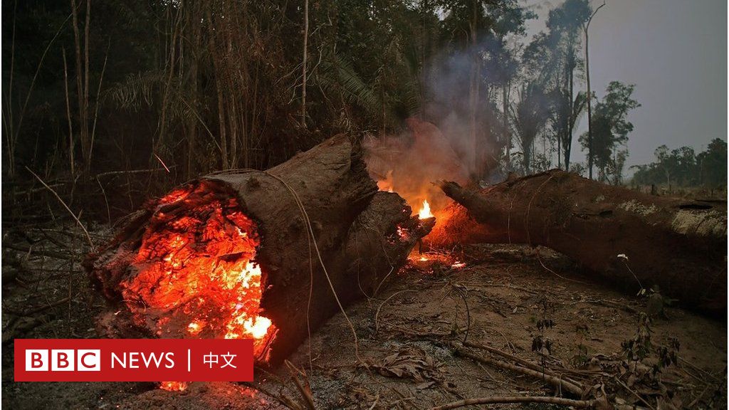 亚马逊雨林 创纪录大火源于天灾还是人祸 c News 中文