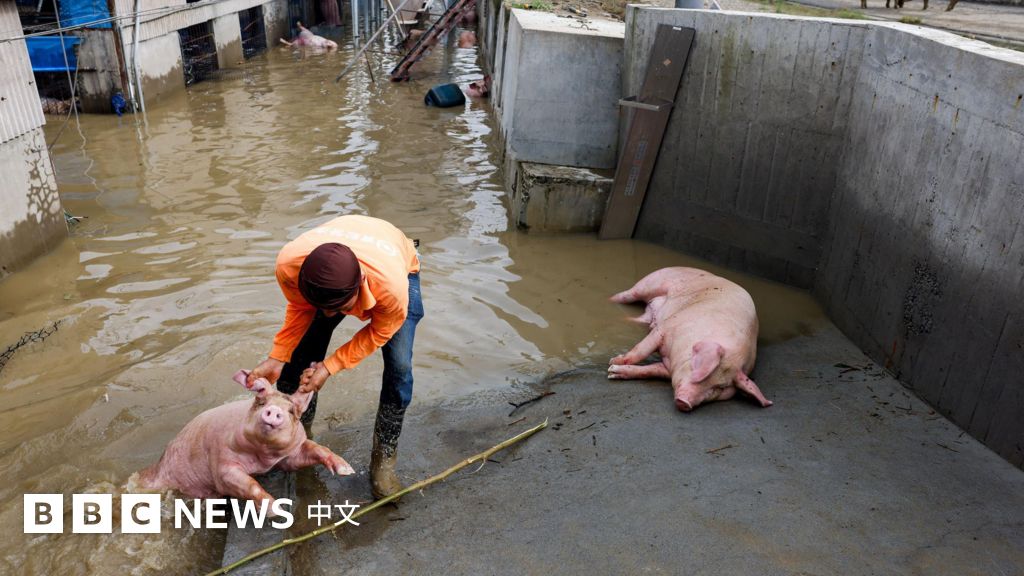Re: [討論] 民進黨不怕被賴一次玩爛嗎