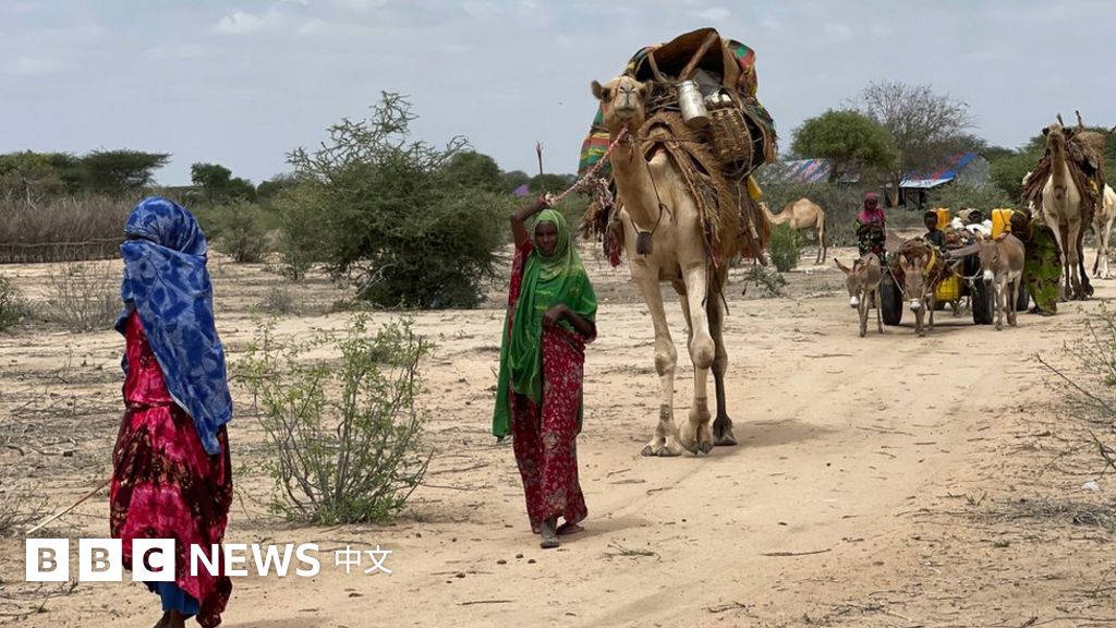 气候变化：联合国IPCC最新报告告诉我们的五个事实 - BBC News 中文