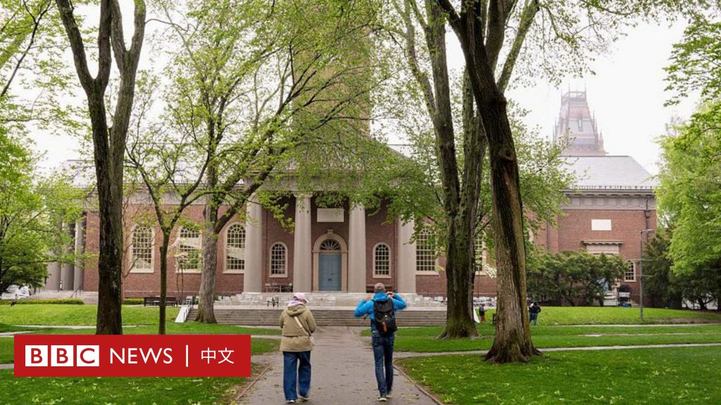 哈佛大学：招收国际学生被特朗普政府叫停，数千在校生亦担忧受影响