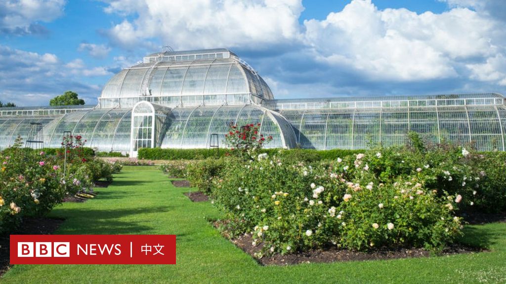 英国伦敦邱园 皇家植物园进入吉尼斯世界纪录的实力看点