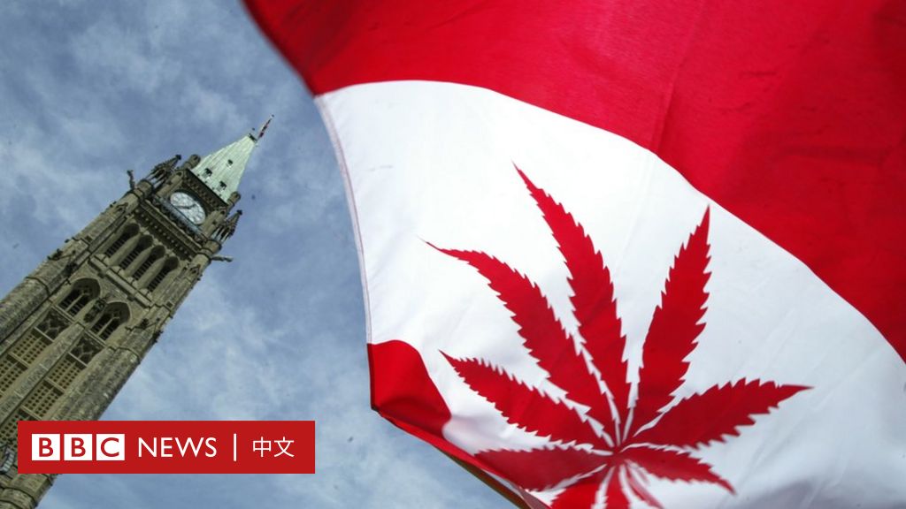 休闲大麻合法化加拿大几家欢乐几家愁 c News 中文