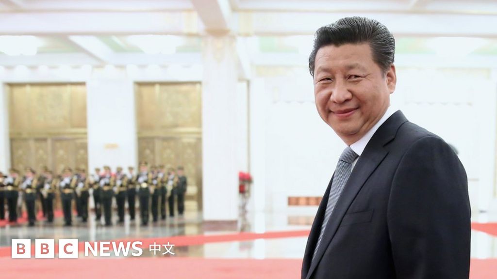 中國夢”與“完全極權”：歐美專家談習近平修憲- BBC News 中文