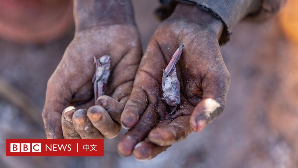 马达加斯加：非洲岛国滑向全球首个“气候变化导致的饥荒”，人们用蝗虫和仙人掌果腹