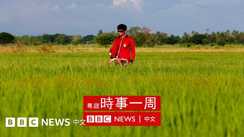 泰国米与俄罗斯入侵乌克兰的不幸交集——化肥