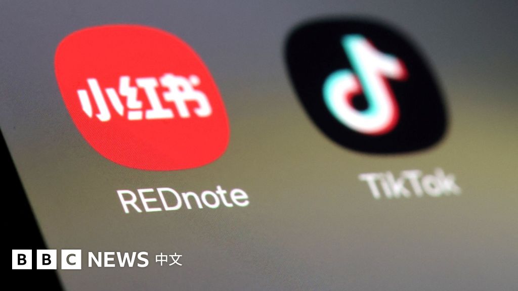 插圖中可以看到TikTok和RedNote應用程式