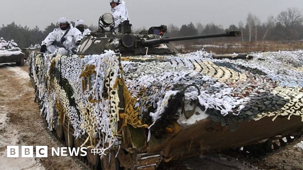 乌克兰局势：造成这场危机的六大因素