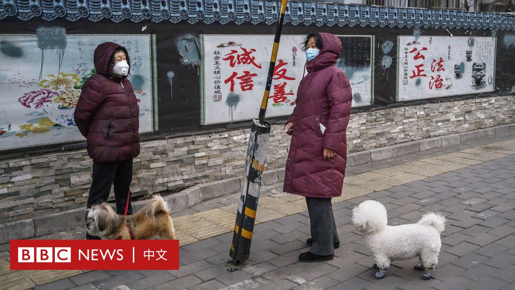 中国防疫人员入民宅“无害化处置”宠物狗，引发众怒