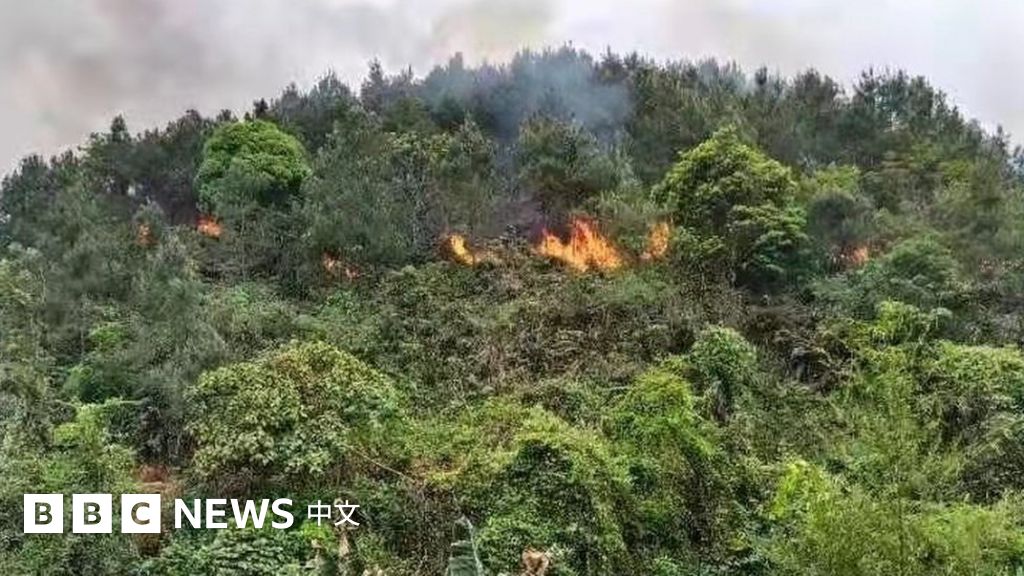 東航波音737客機墜毀 Mu5735航班廣西藤縣失事搜救仍在繼續 c News 中文