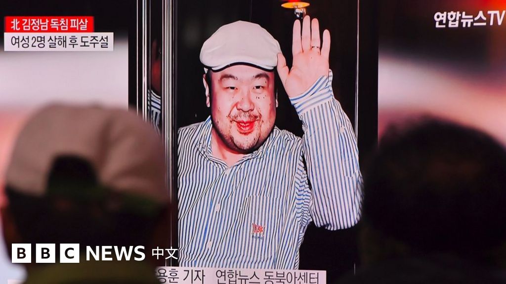 揭秘:金正男喜爱日本文化 乐与记者交流 BBC News 中文