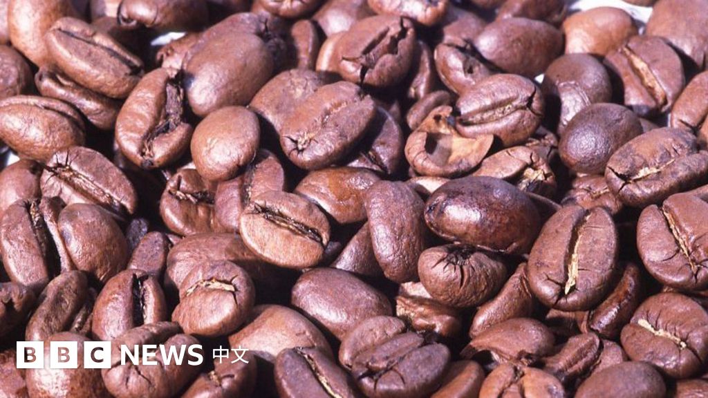 世界咖啡日 漫谈意式和美式 拿铁 卡布奇诺和摩卡 c News 中文