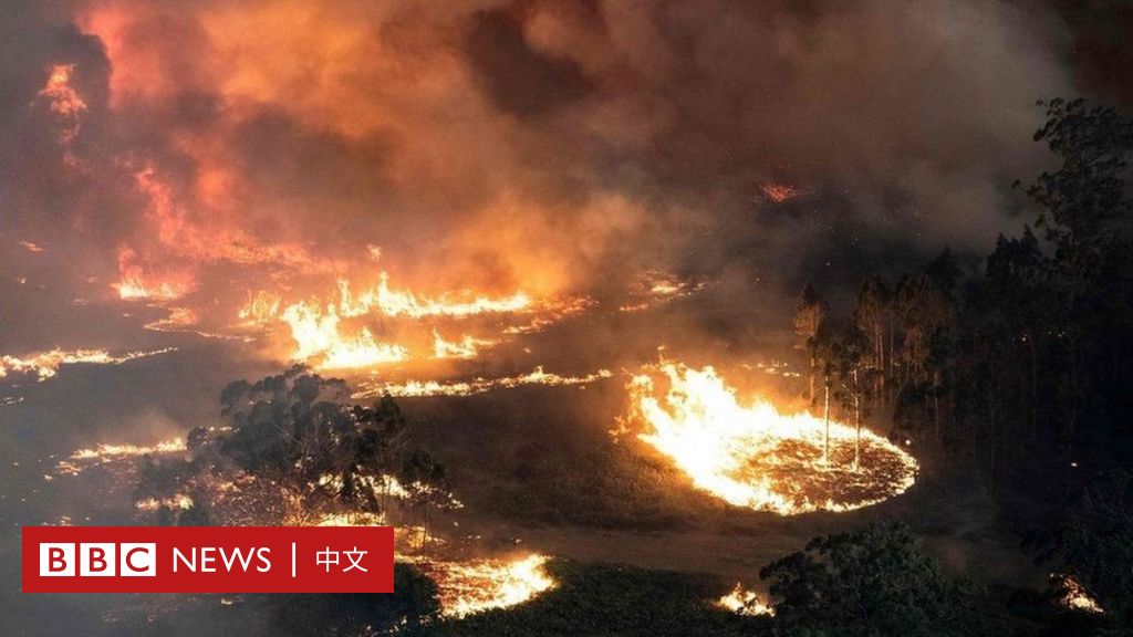 澳大利亚山林大火跨年连烧四个月 以火防火 是否可行 c News 中文