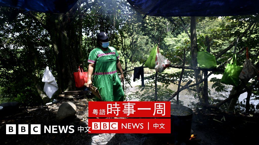 巴拿马森林土著用科技捍卫生活方式