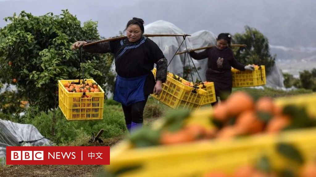 中国扶贫创造“人间奇迹”三个关键人物揭开谜底-BBC新闻