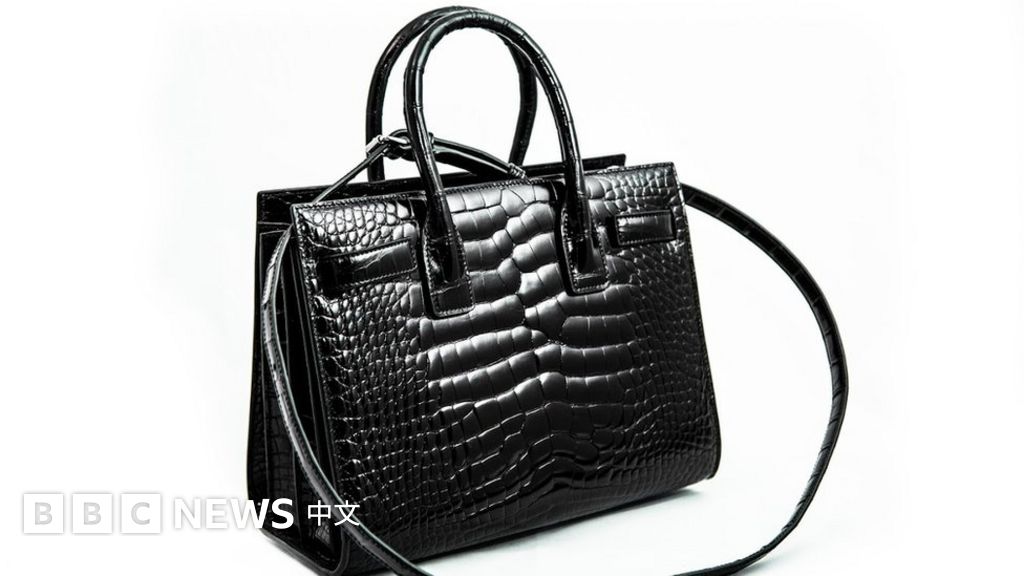 网购法国鳄鱼皮手袋被海关销毁二万美元打水漂 c News 中文