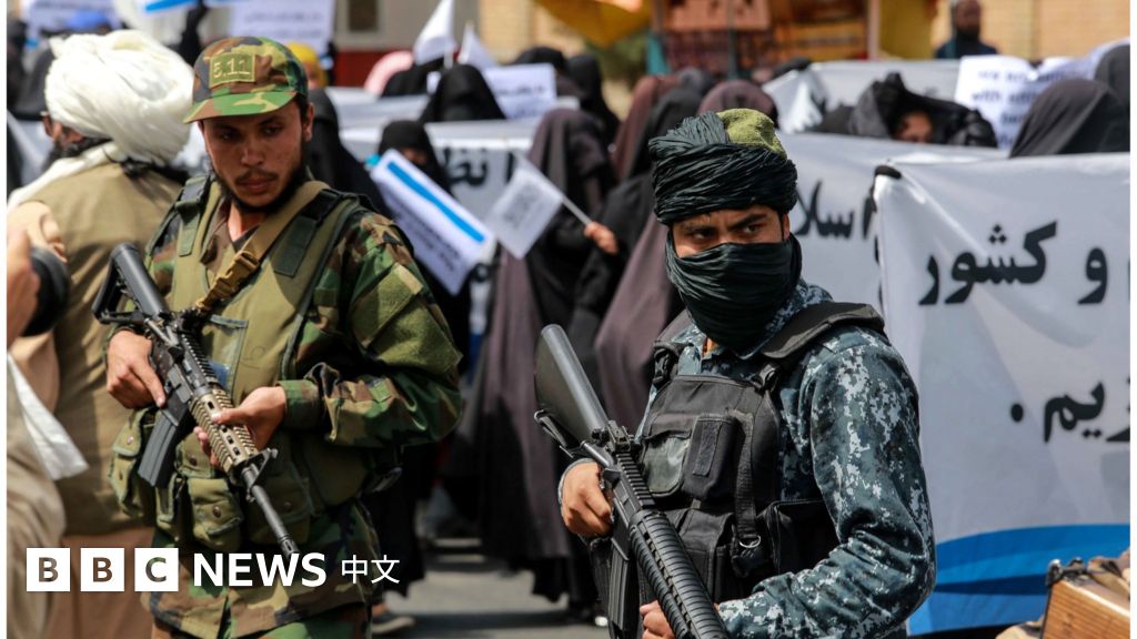 塔利班在阿富汗重新掌权，基地组织也会复兴吗