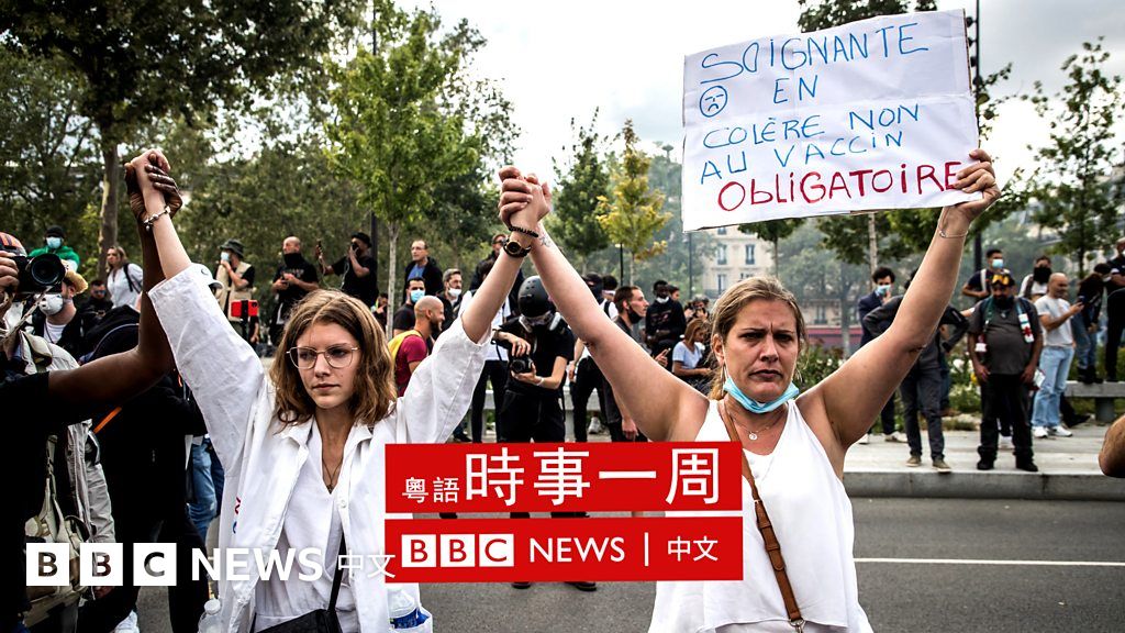 新冠疫情：法国为何会出现假疫苗护照