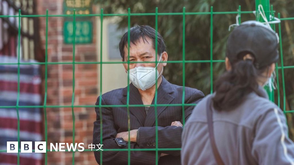 中共二十大如何“推动”了新冠疫情封锁 BBC News 中文