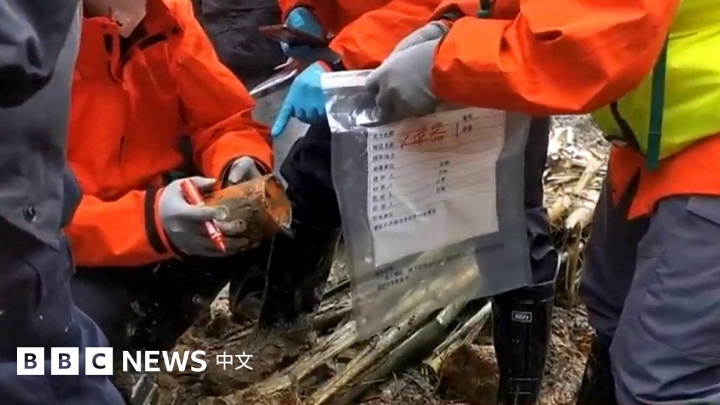 东航波音737客机坠毁：其中一个“黑匣子”已找到，现场发现飞机残骸和人体组织碎片