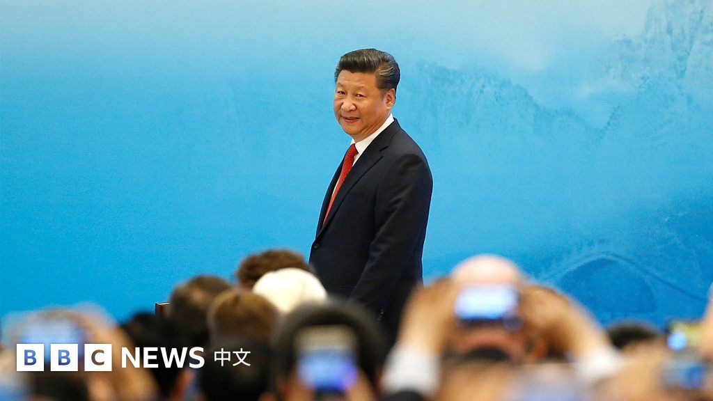 中共二十大：习近平“大国外交”十年跌宕起伏