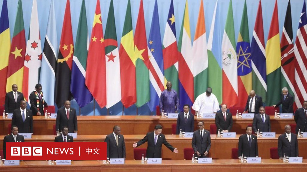 中国与非洲 中非合作论坛的历史、现状和未来
