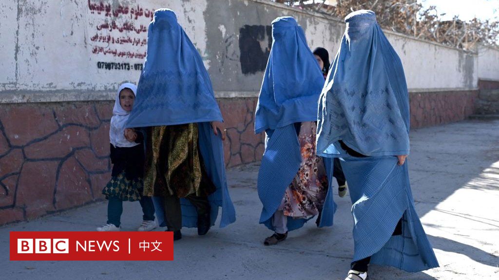 Afghan Taliban bans women from working for NGOs after university ban – BBC News 中文