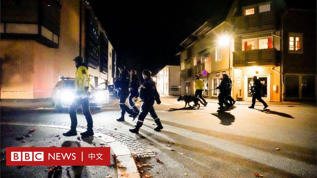 挪威男子用弓箭攻击民众，导致五人死亡两人受伤