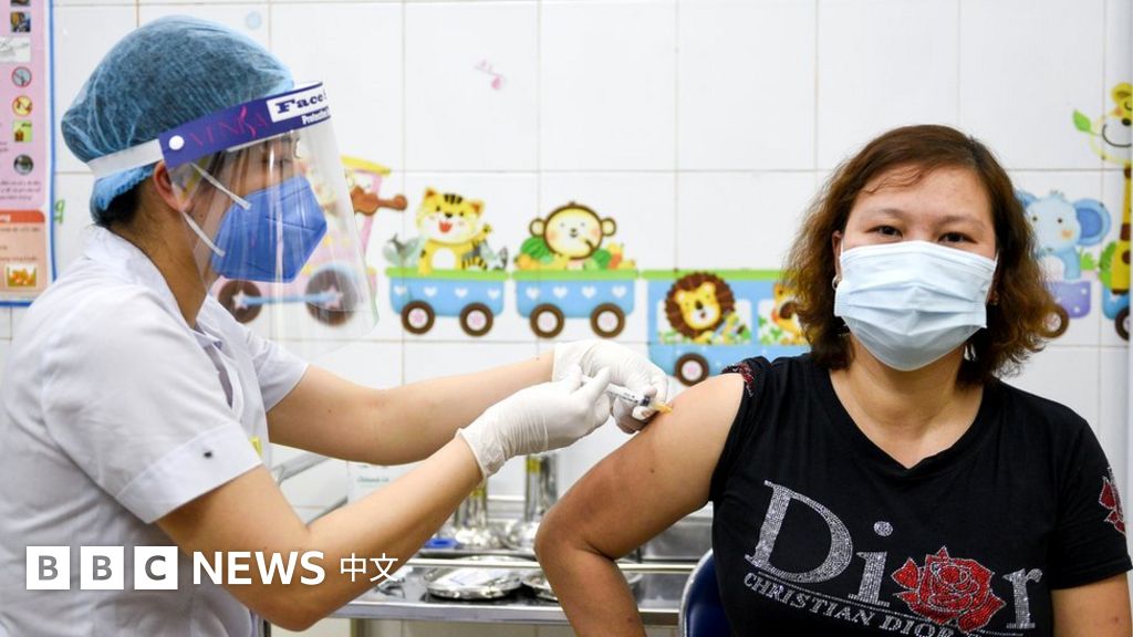 新冠病毒 越南发现 混合 变种 官方称该突变 非常危险 c News 中文