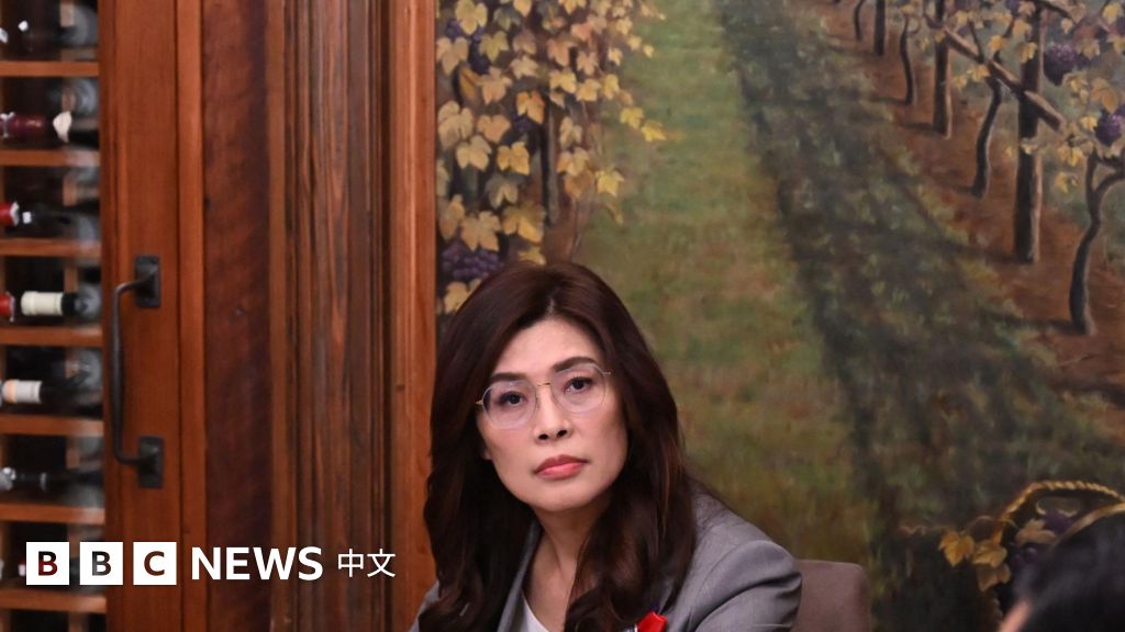 白宮冷待、統戰部同框：鄭麗文15天訪美行程帶回了什麼？