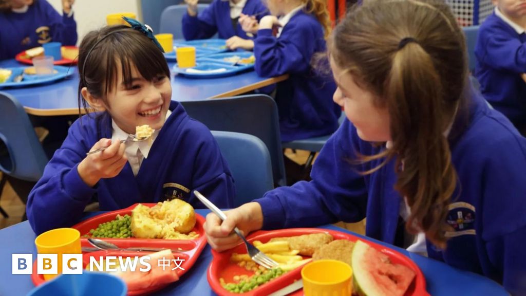 英國新學校午餐計劃禁止油炸食品