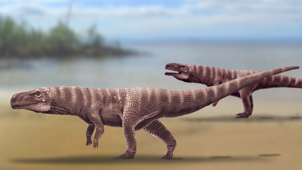 dinosaur feet crocs