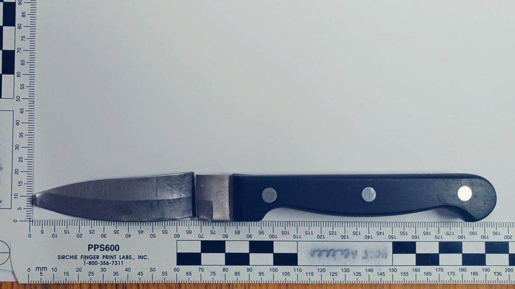 A black handled kitchen knife with a broken blade and a bent tip next to a ruler measuring the whole object at 195mm long