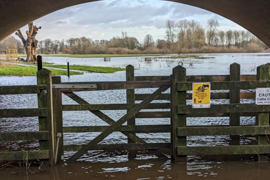 Flooding at Rickerby Park, Carlisle