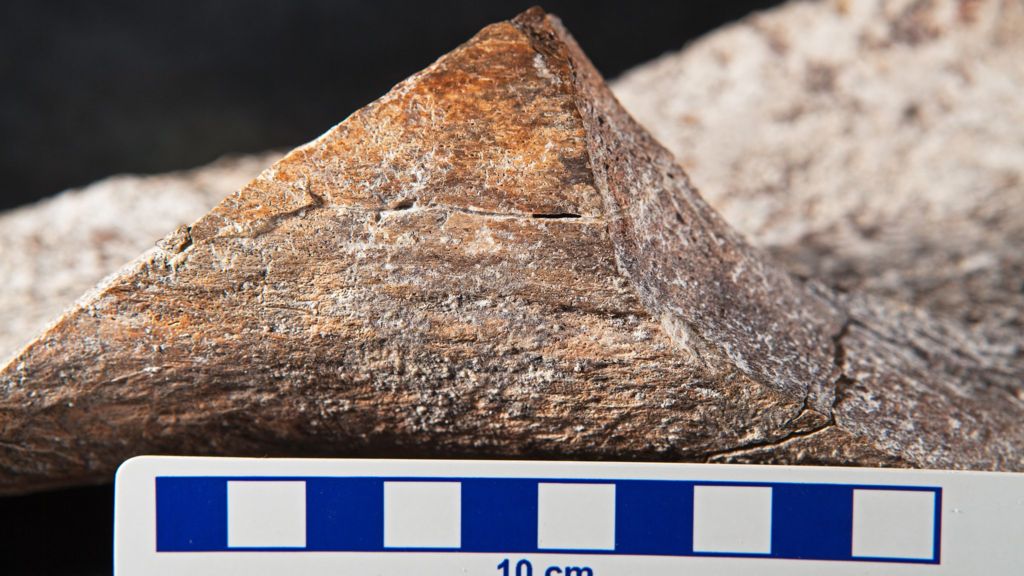 First Americans claim sparks controversy