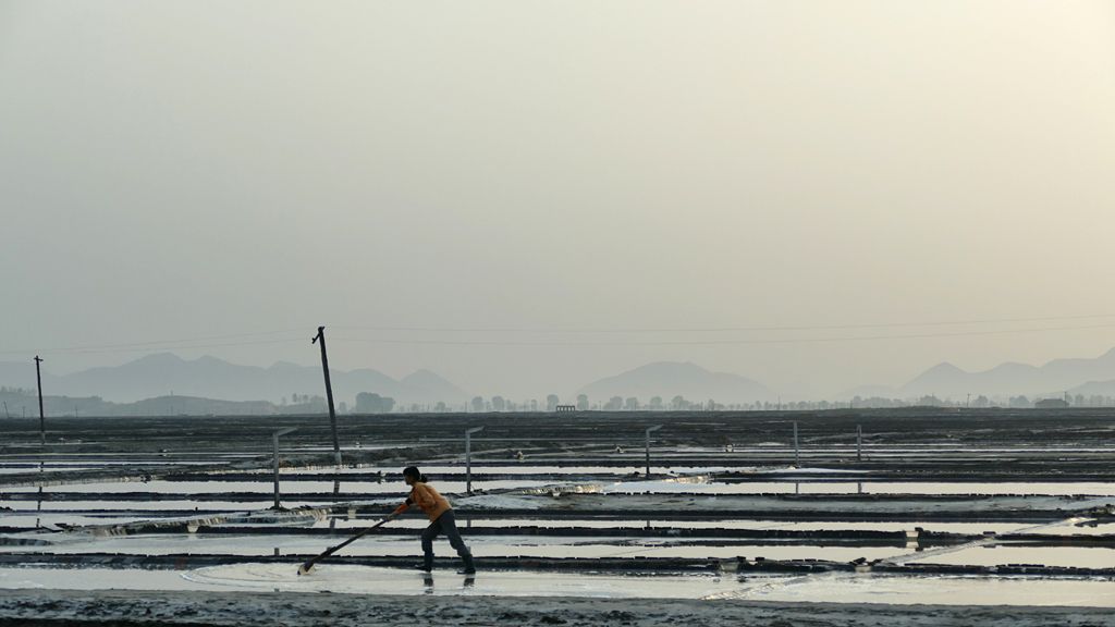 Salt works make good roosting sites for migrating birds, North Korea