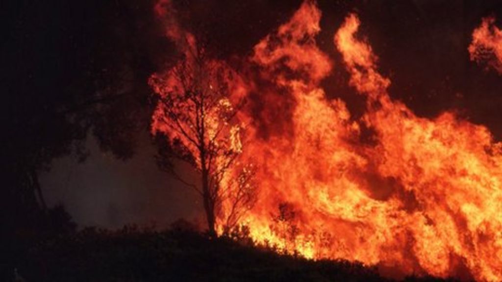 Image result for Climate change: Australia fires will be 'normal' in warmer world