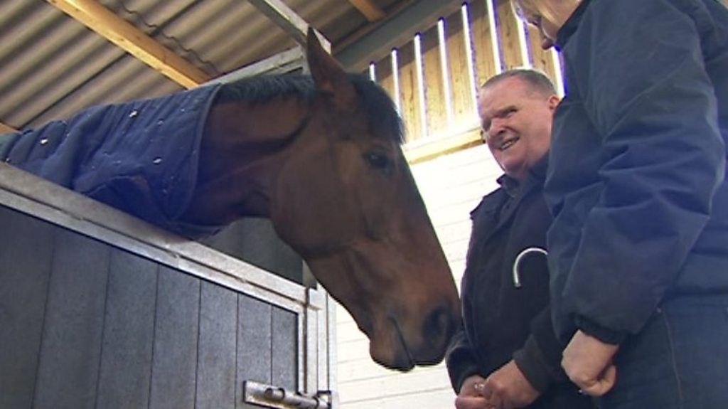 Cheltenham Festival Paisley Park And His Owners Remarkable Journey Bbc Sport 